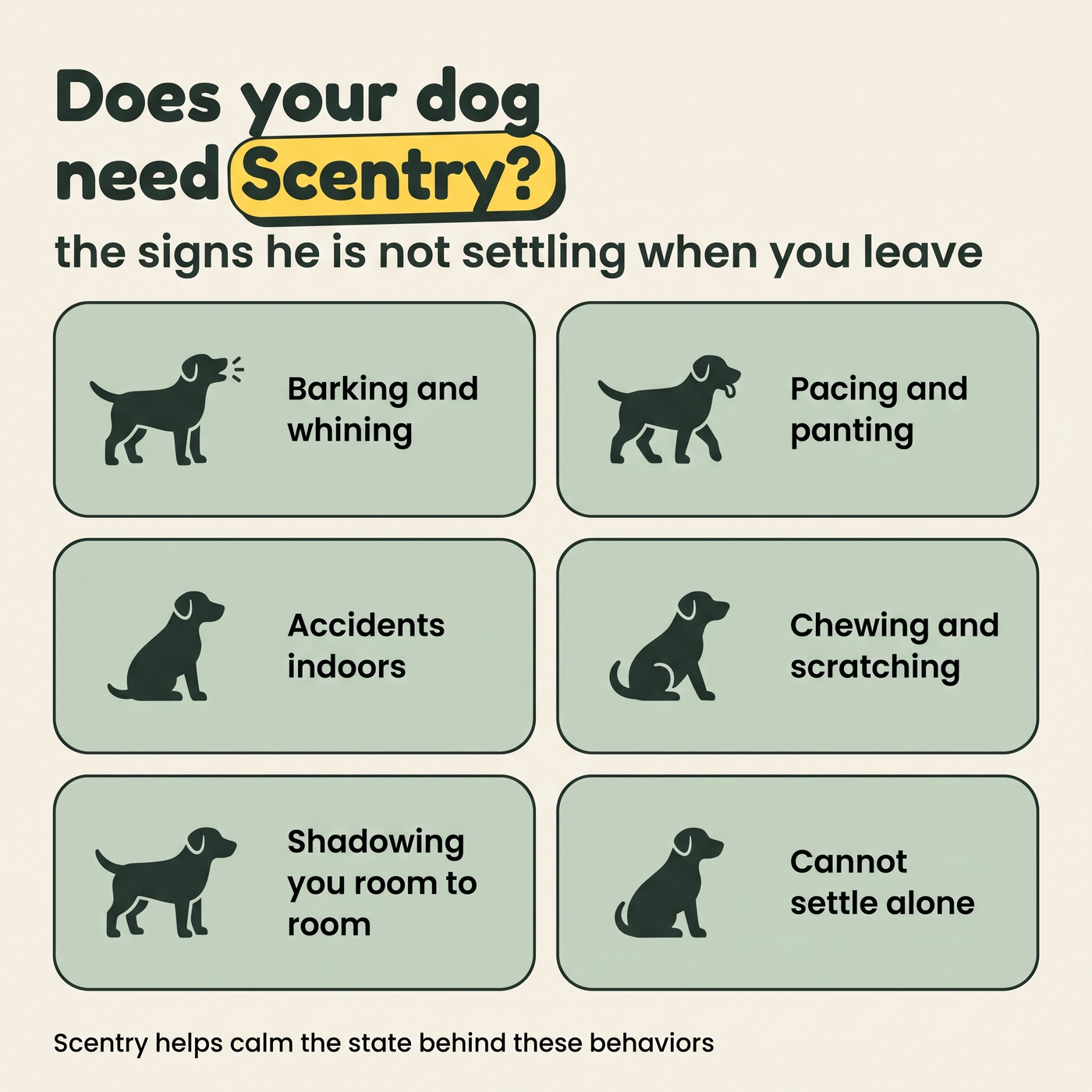 Six signs your dog is not settling when you leave