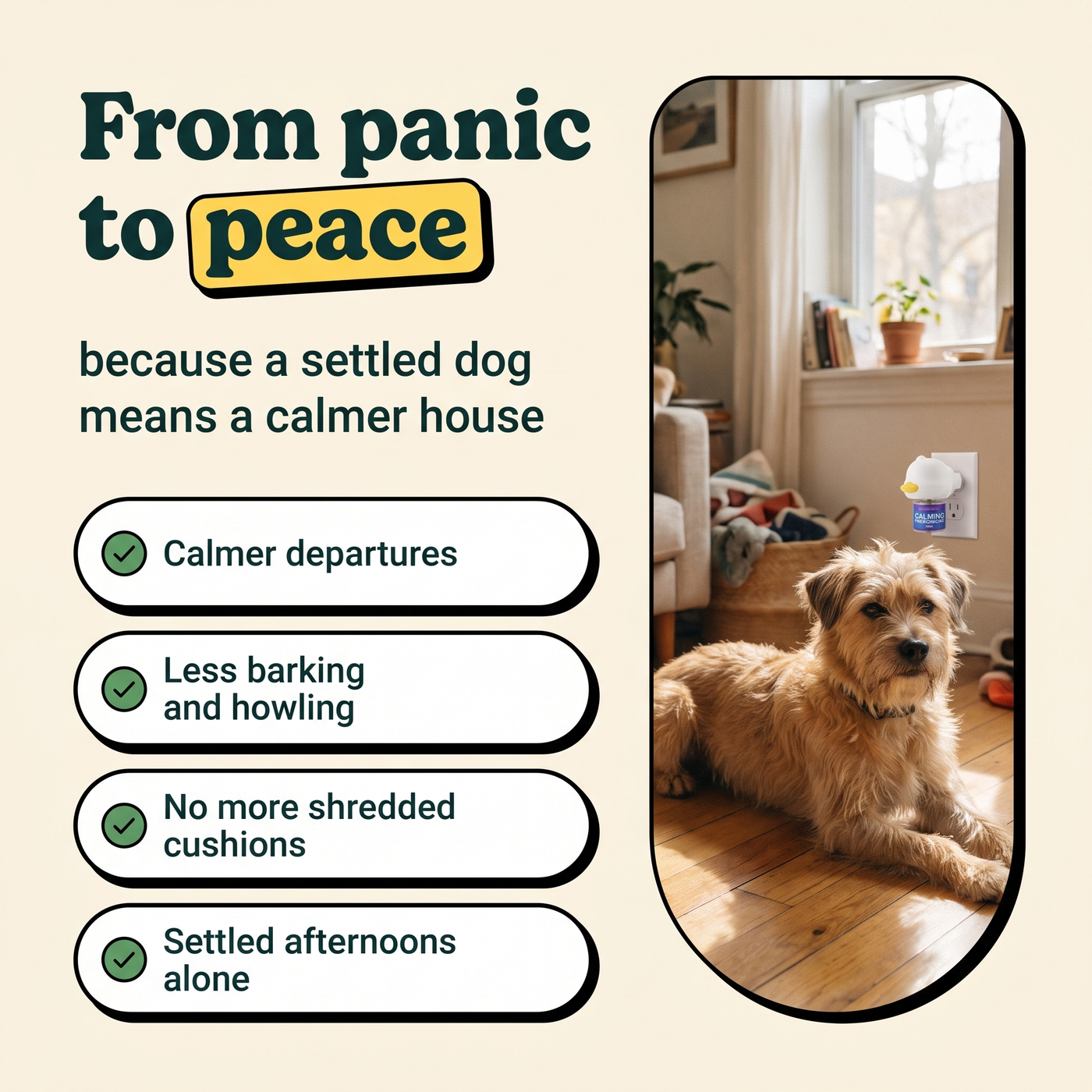 From panic to peace, calmer departures and quieter afternoons