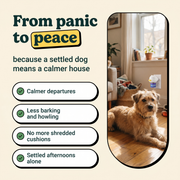 From panic to peace, calmer departures and quieter afternoons