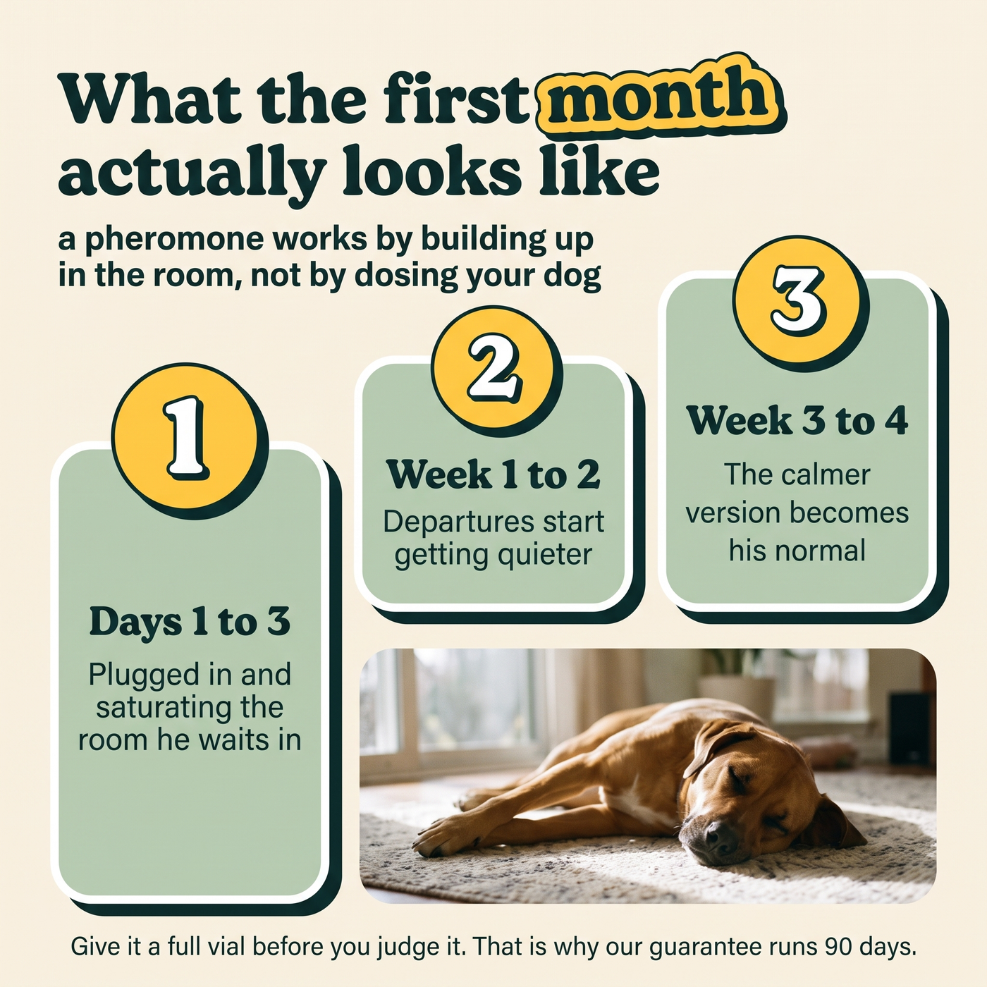 What the first month with Scentry actually looks like, week by week