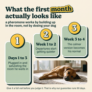What the first month with Scentry actually looks like, week by week