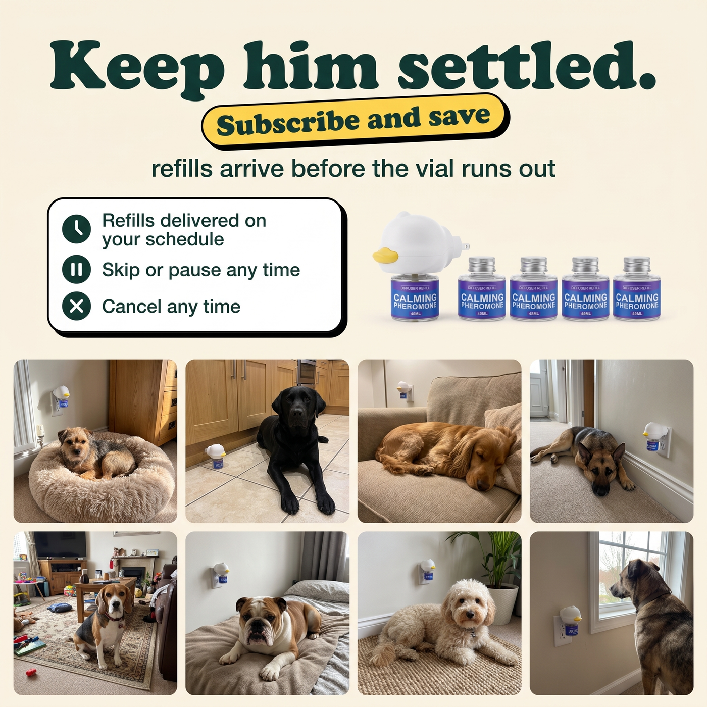 Keep him settled, subscribe and save on refills