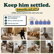 Keep him settled, subscribe and save on refills