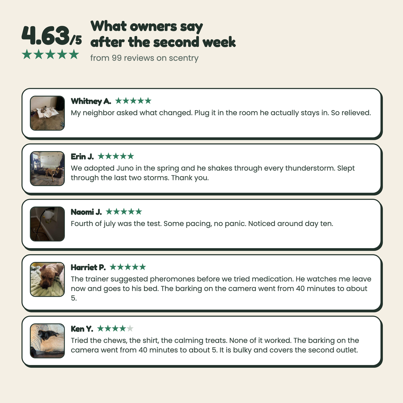 4.63 out of 5 from 99 customer reviews
