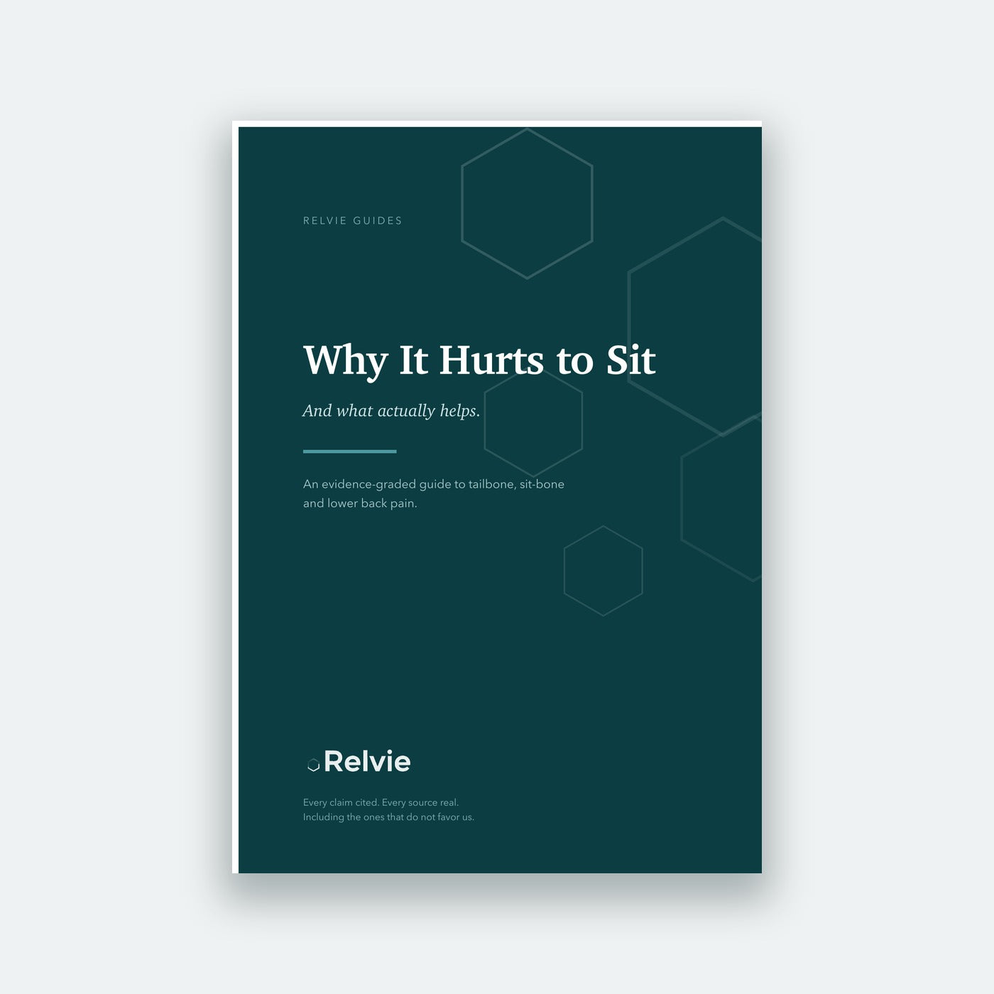 Why It Hurts to Sit, the Relvie guide, cover