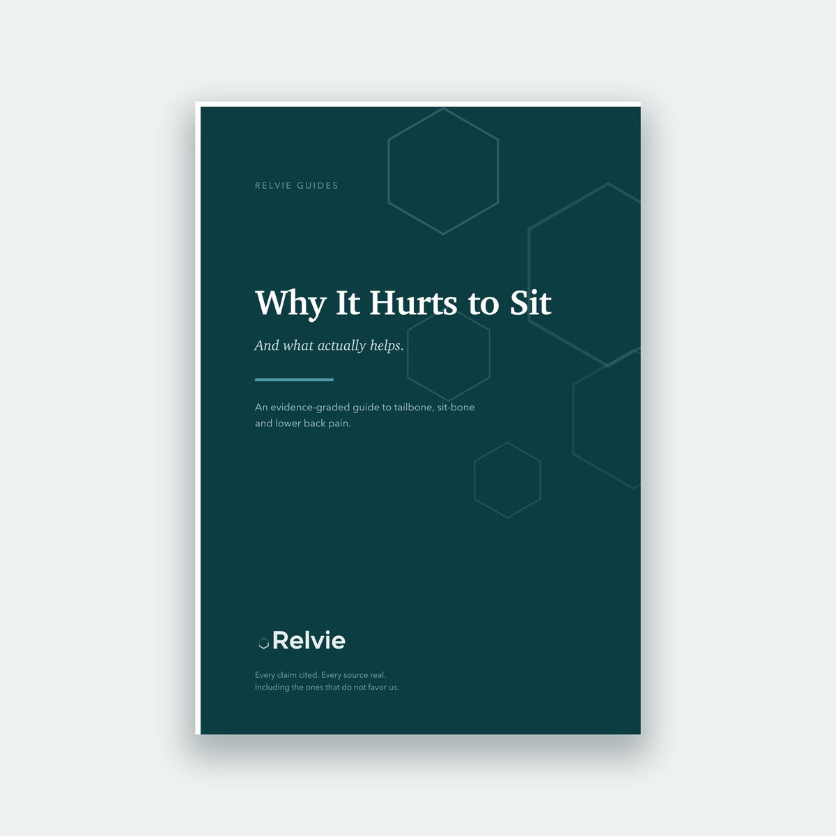 Cover of Why It Hurts to Sit, the 42-page Relvie PDF guide