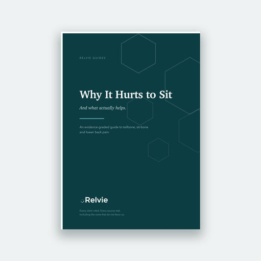 Why It Hurts to Sit, the Relvie guide, cover