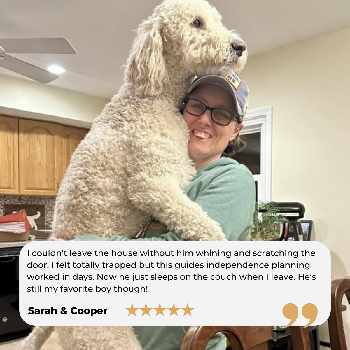 Goldendoodle (22).png__PID:96f28fdf-624a-4667-a553-05c367881e52