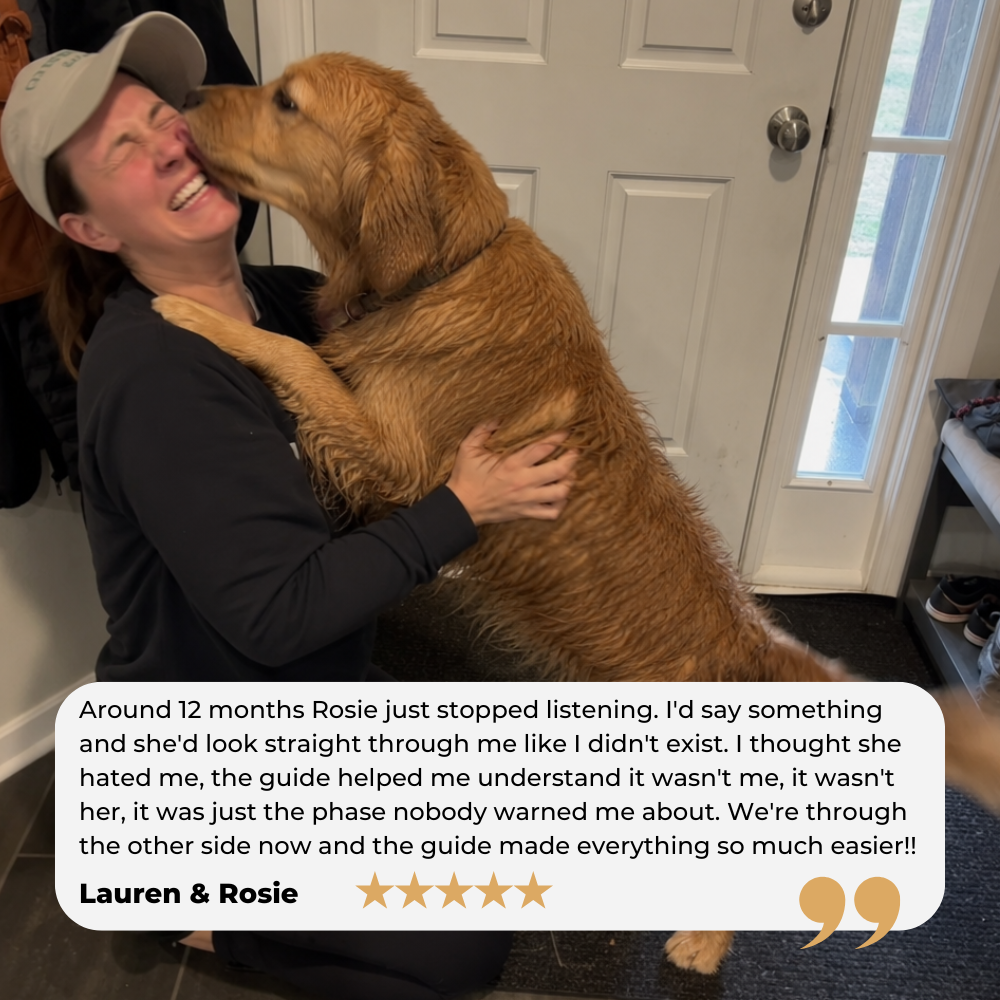 Golden Retriever Guide (13).png__PID:10020bc6-aa0f-45c6-8f3f-f86082be8ecd