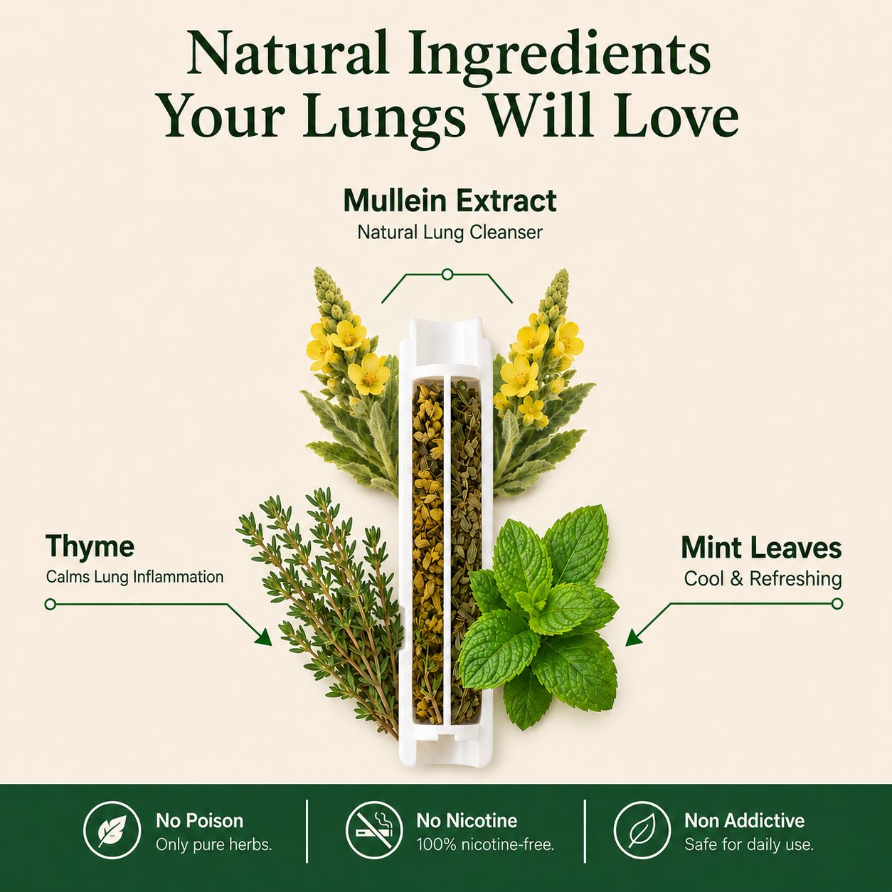 Relvie Mullein Purifier MAIN