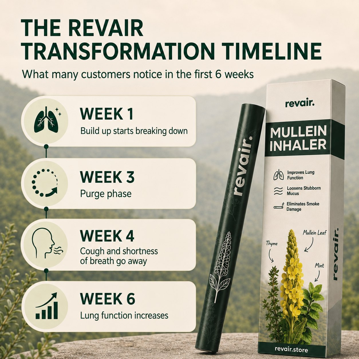 Relvie Mullein Purifier MAIN
